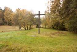 Ristinpelto