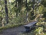 Luontopolku